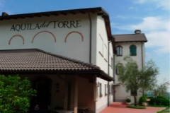 Aquila del Torre