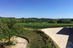 Colli di Poianis II