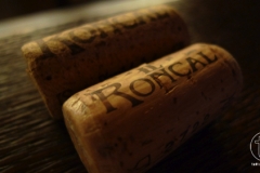 Il Roncal