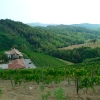Lis Fadis - Weingut