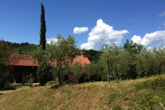 Perusini