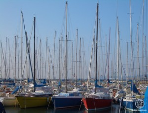 Blick auf den Hafen von Muggia